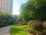 城市中的静谧林荫小道