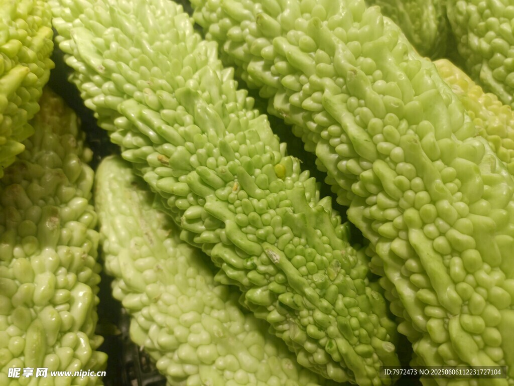 新鲜苦瓜特写