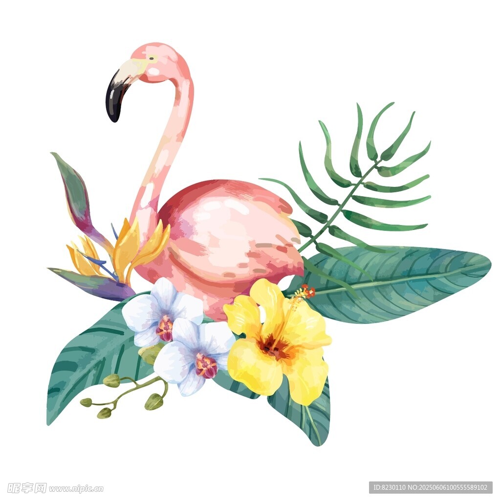 火烈鸟与花卉绿植插画