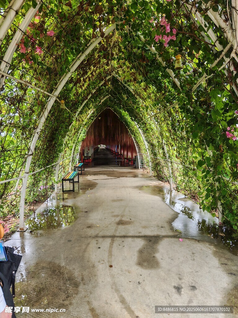 浪漫绿植拱形通道景观