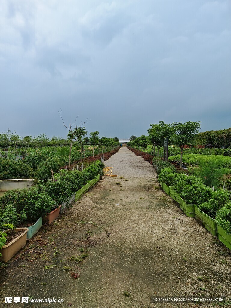 田园小径旁的蔬菜种植区