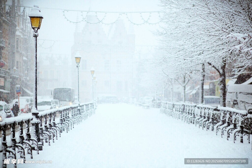 雪后街道的静谧雪景