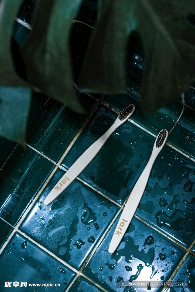 两只牙刷