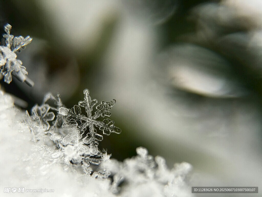 微距下的精致雪花