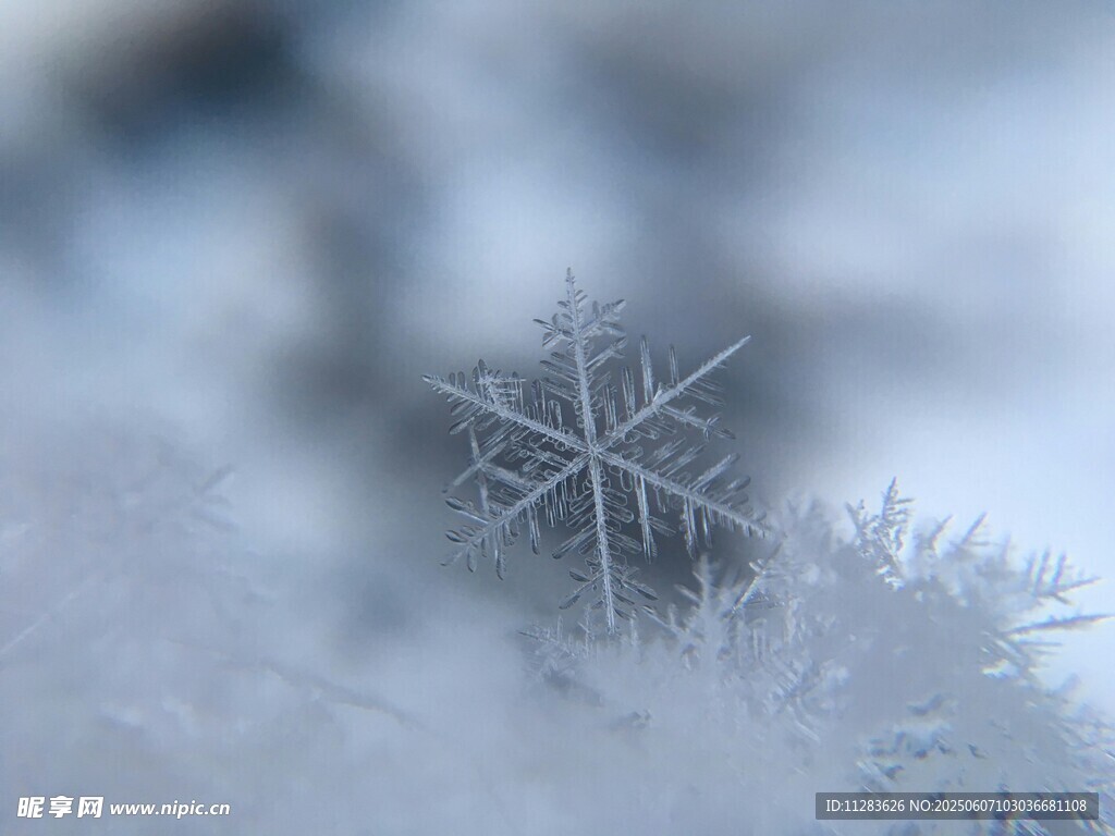 微距下的精致雪花