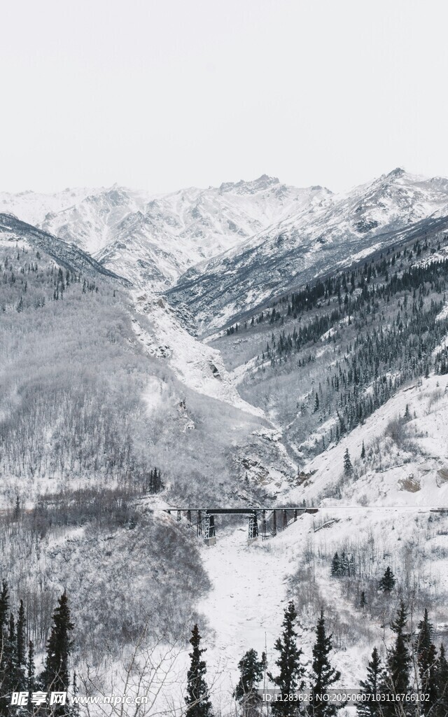 雪山森林壮丽自然景观