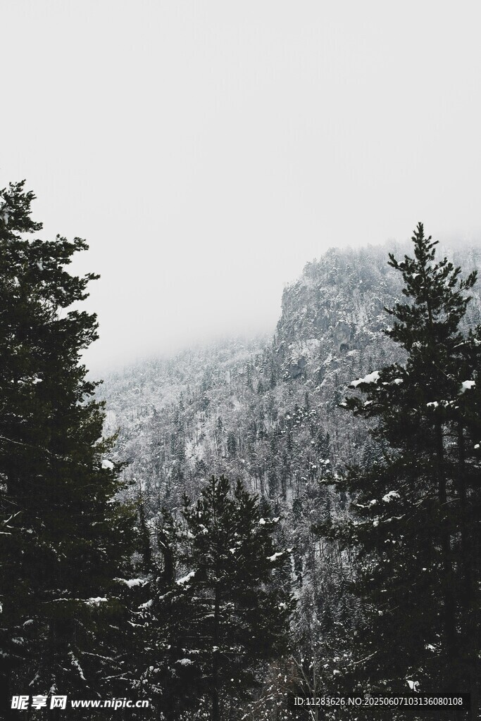 山林雪景中的巍峨山峰