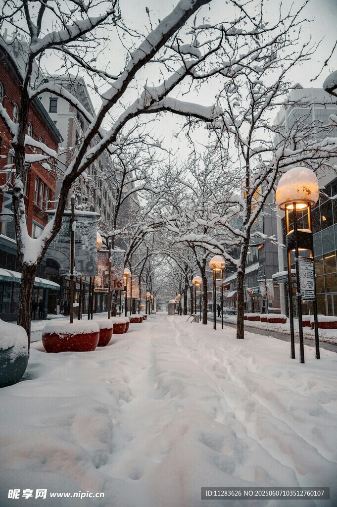 雪后街道的静谧冬日景象