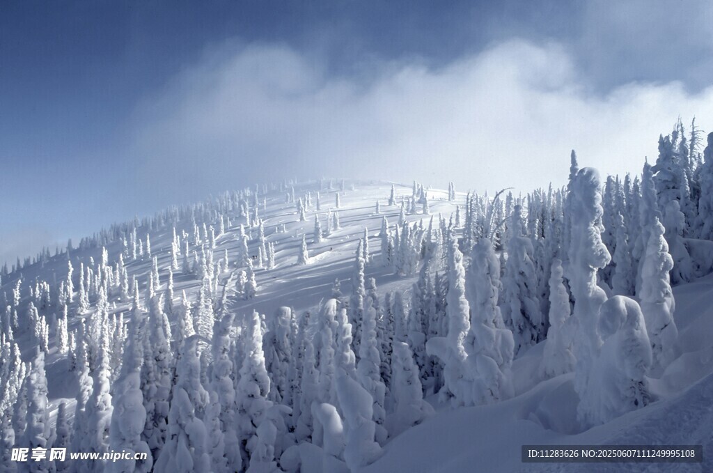 雪覆山林美景