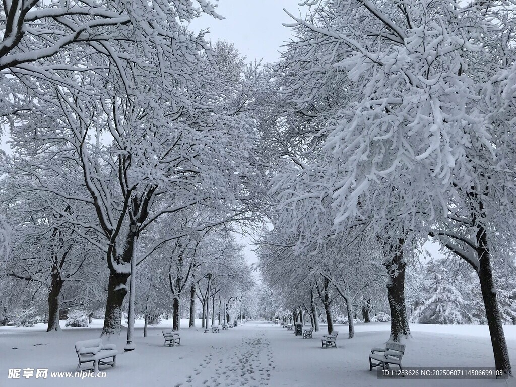 雪覆公园景 静谧冬日情