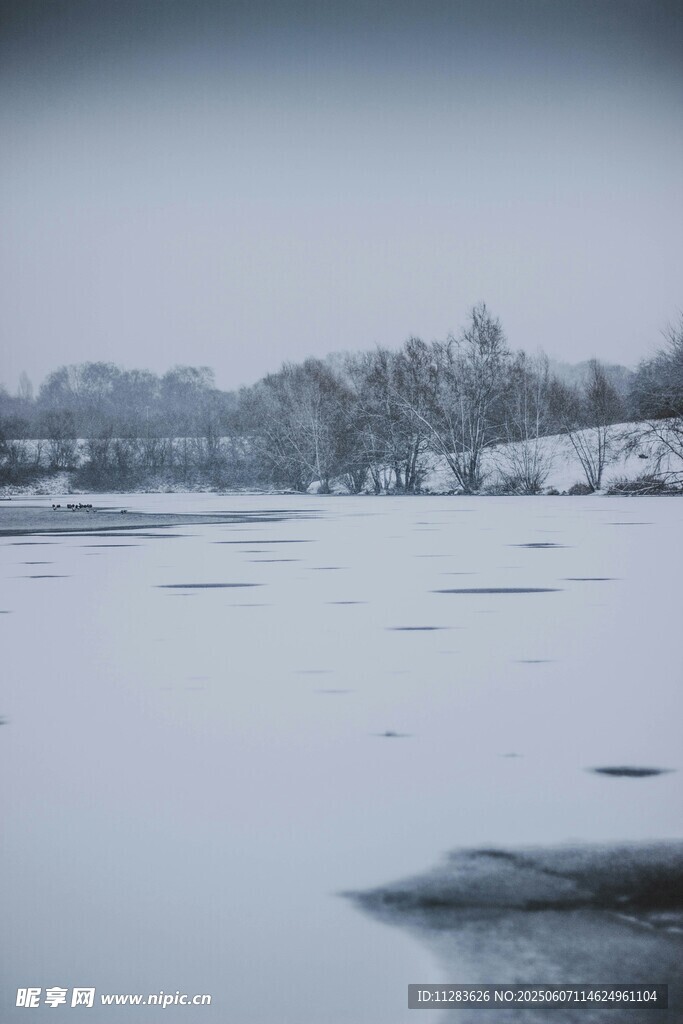 冬日冰封河岸雪景