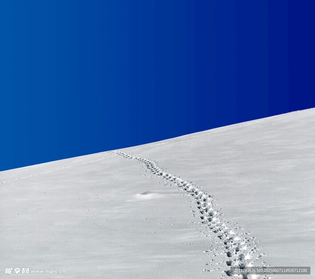 雪坡上的串串脚印