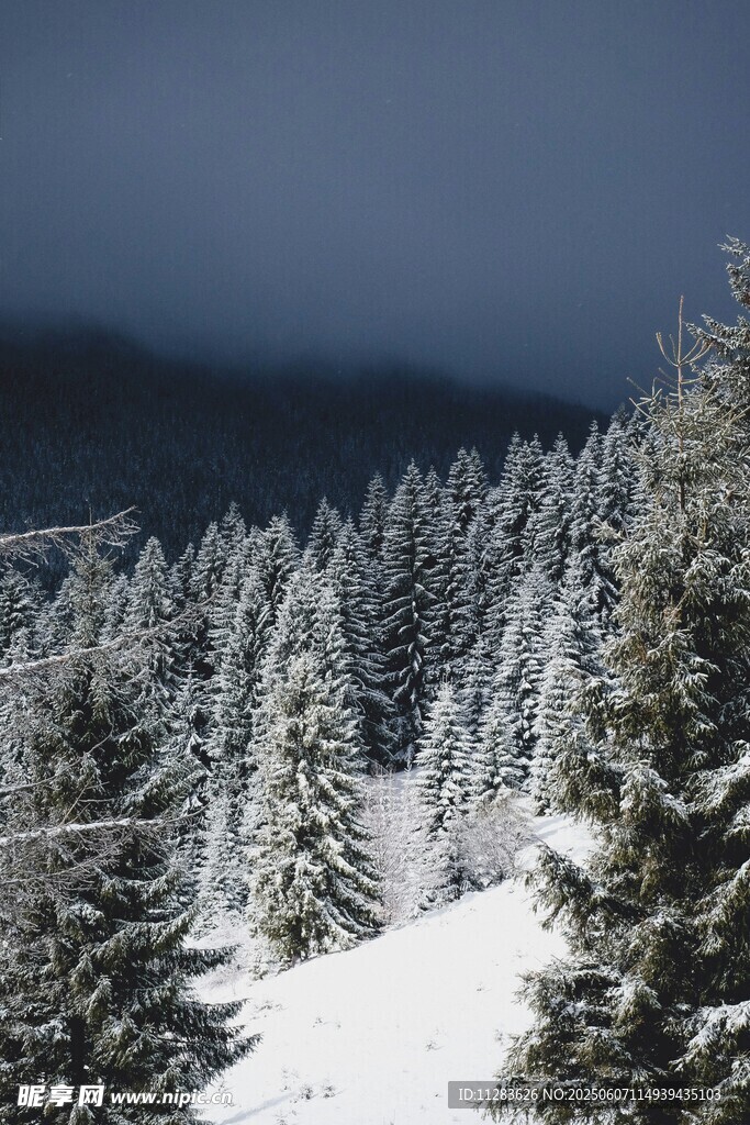 雪覆山林的静谧冬日景象
