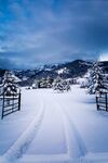 冬日雪中小屋美景
