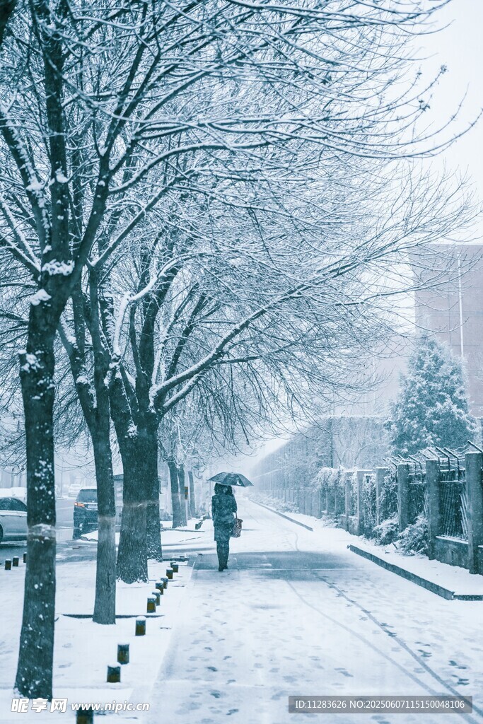 雪后街道行人漫步景象
