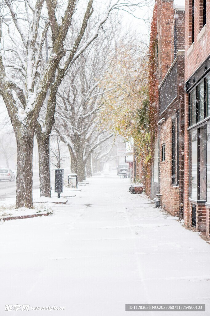 雪后街道的静谧景致