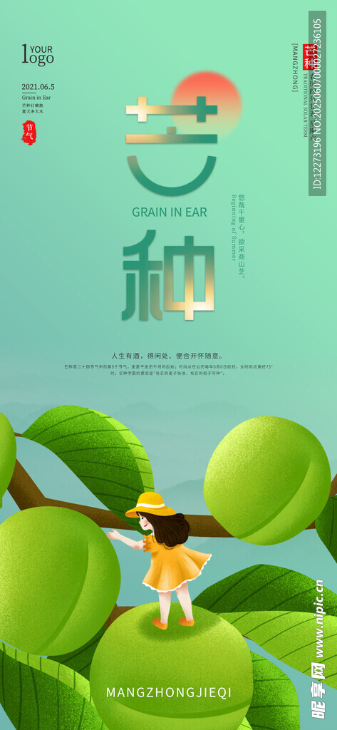 芒种海报