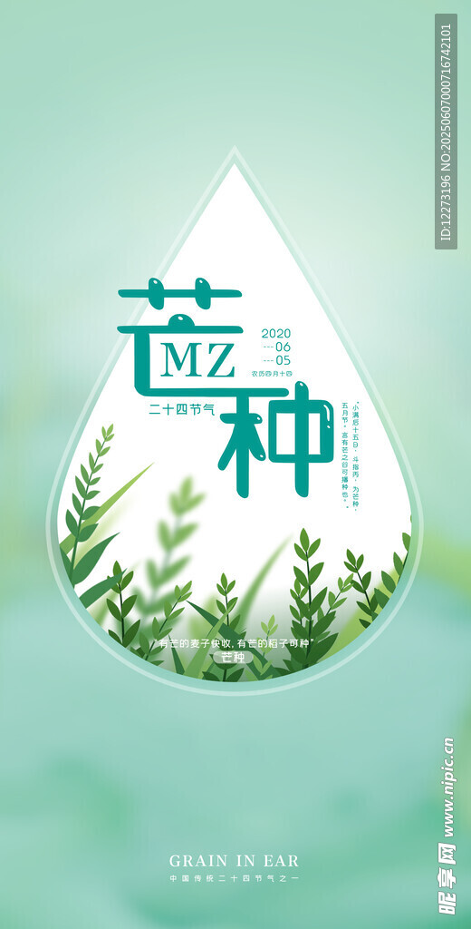 芒种海报