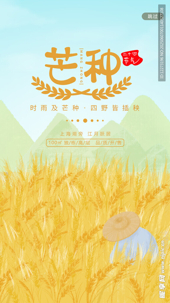 芒种时节的金黄麦田