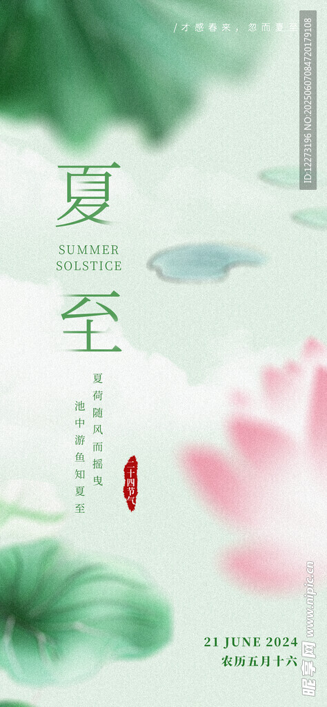 夏日荷花夏至节气插画