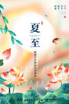夏至荷花景
