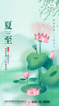 夏至荷花图
