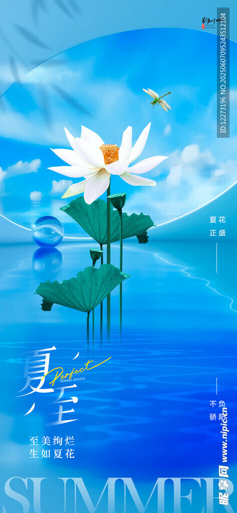 夏至海报