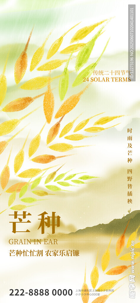 芒种时节麦穗插画海报