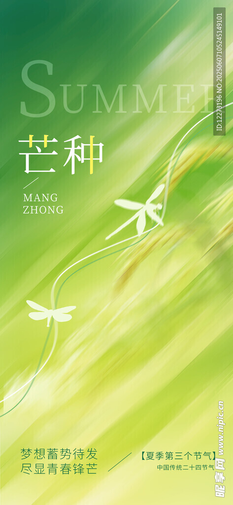 芒种时节的清新绿意画面