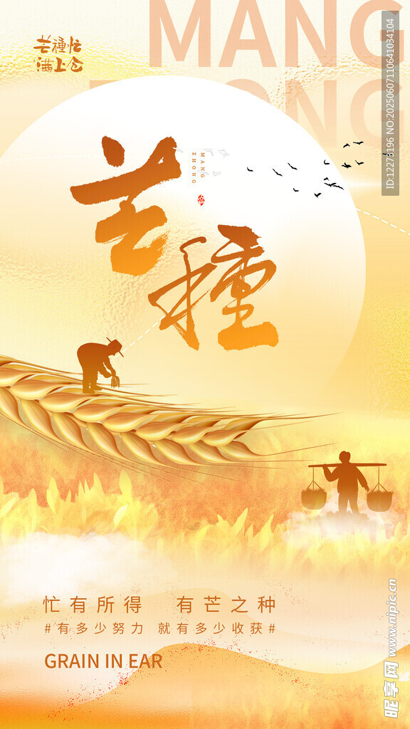 芒种时节田野丰收景象