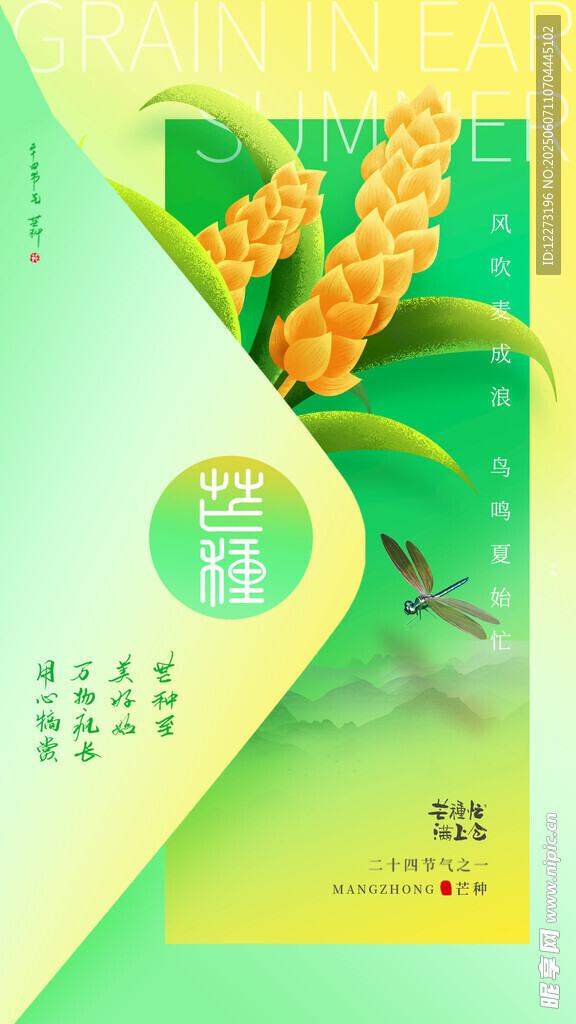 清新芒种节气插画海报