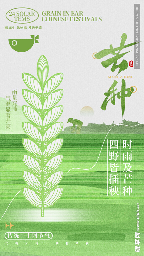 芒种海报