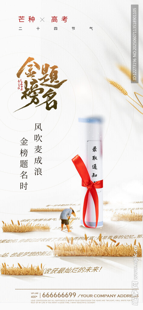 芒种海报