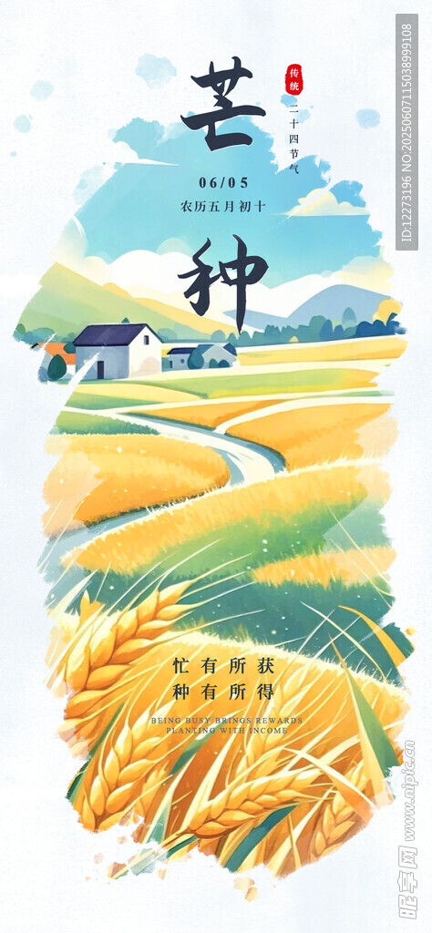 芒种时节的田野风光