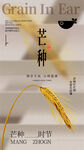 芒种时节麦穗金黄