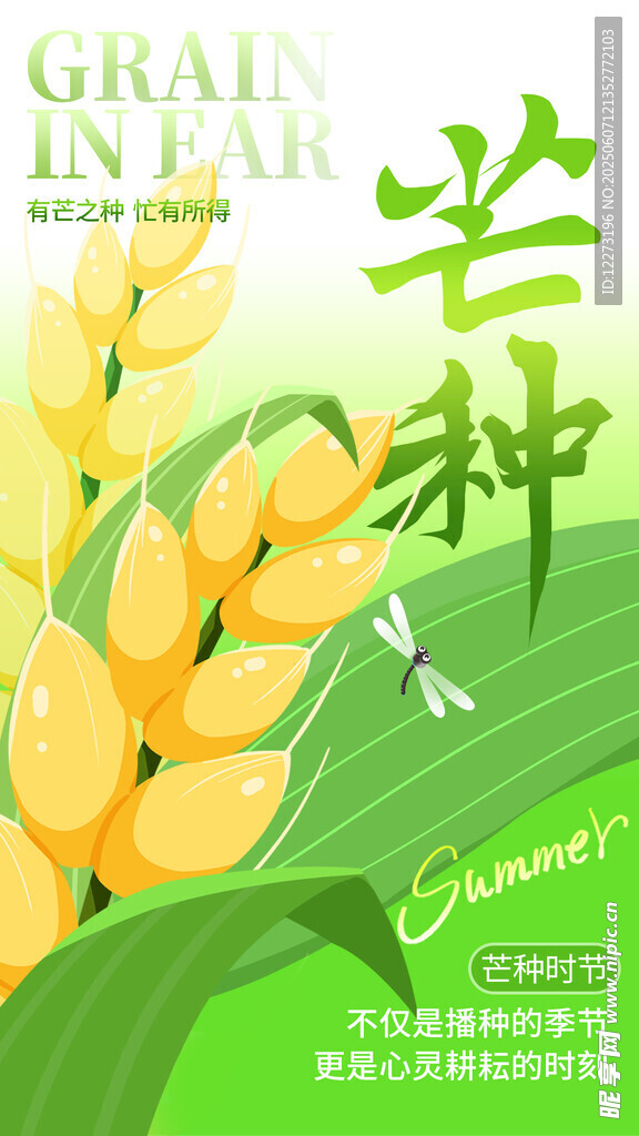 芒种时节金黄麦穗插画
