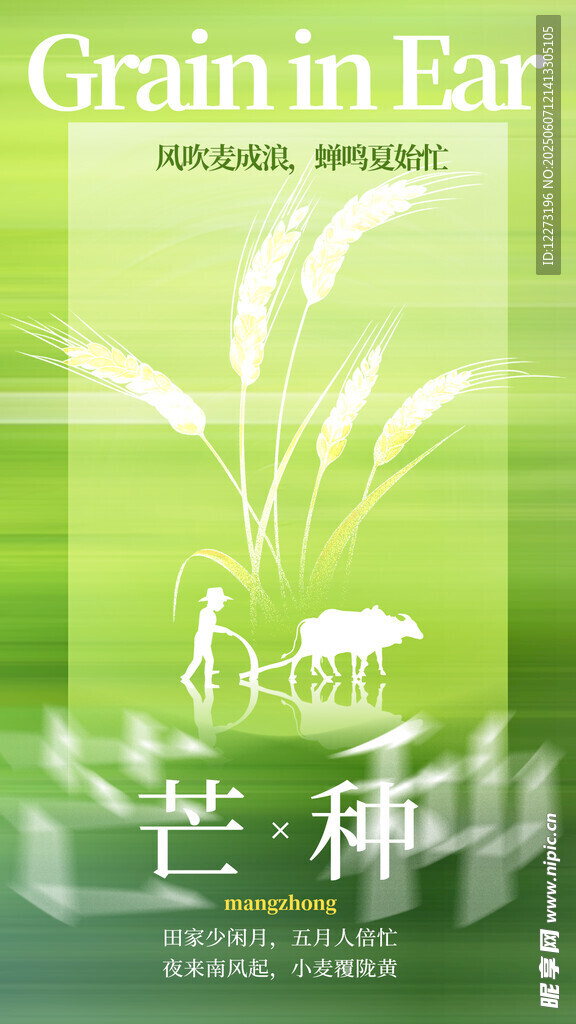 芒种时节田园景象