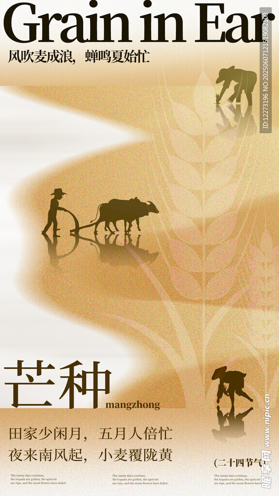 芒种时节农耕景象