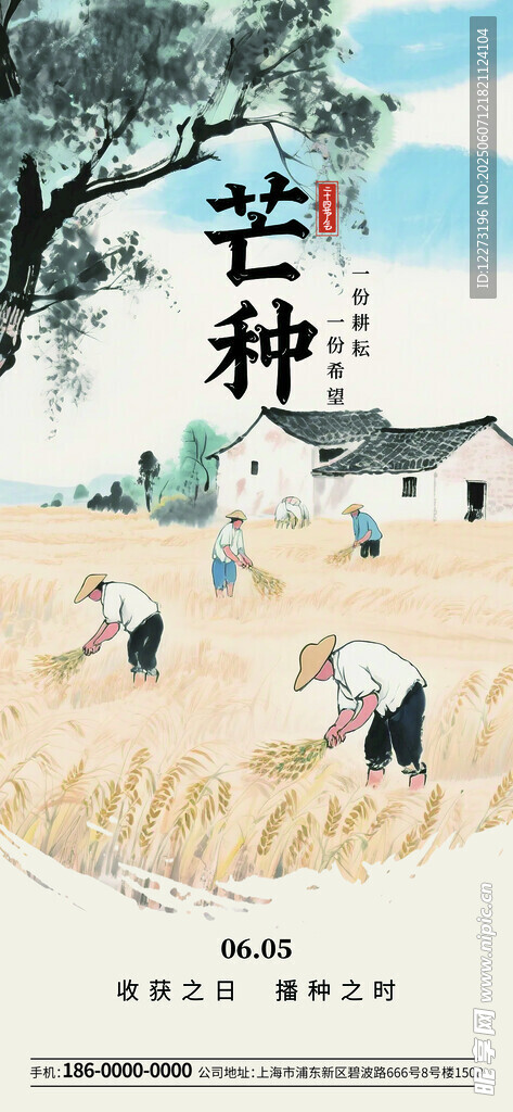 芒种时节田间劳作景象