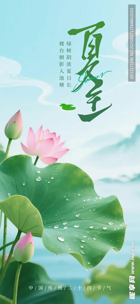 夏日荷花图