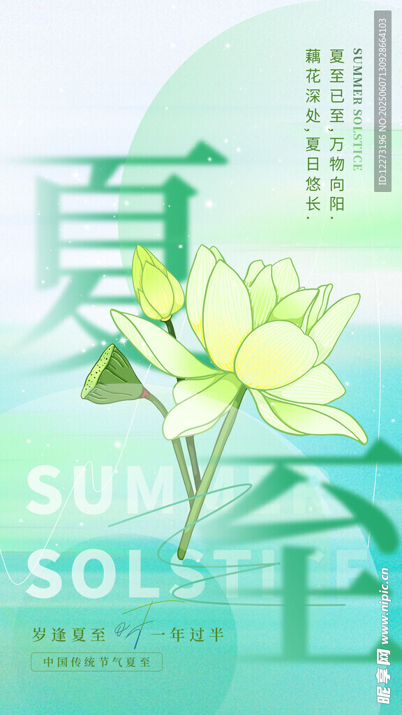夏日荷花清新插画