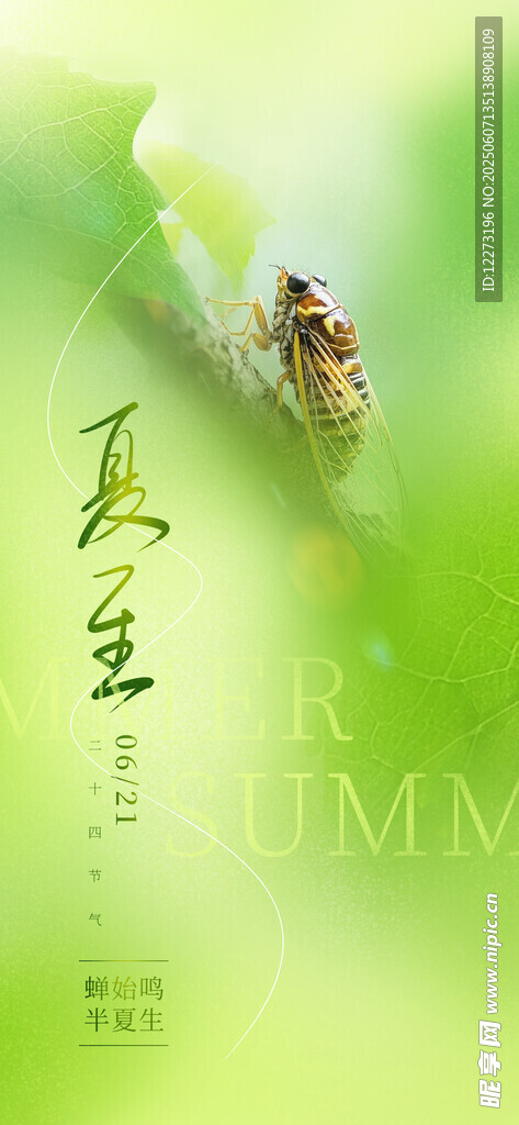 夏至海报