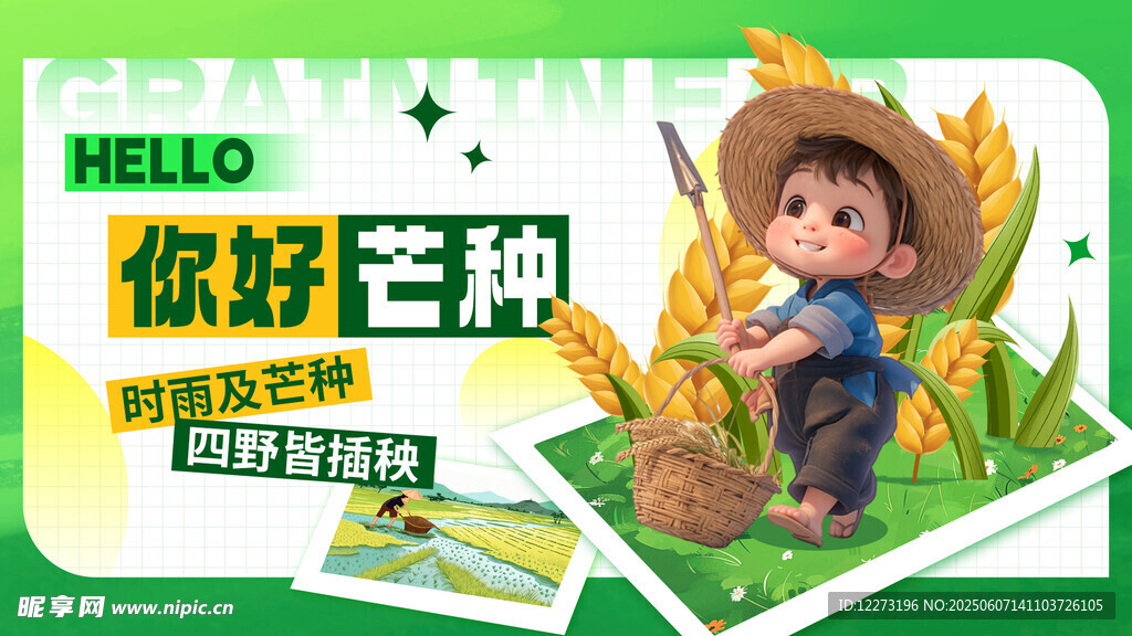 芒种海报