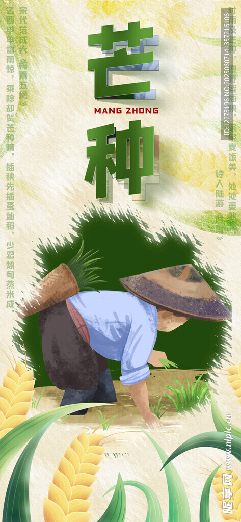 芒种时节农民田间劳作