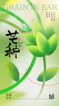 芒种海报