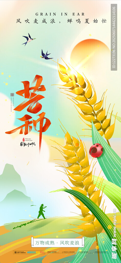 芒种海报