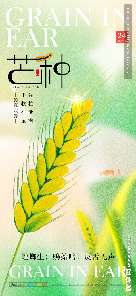 芒种海报