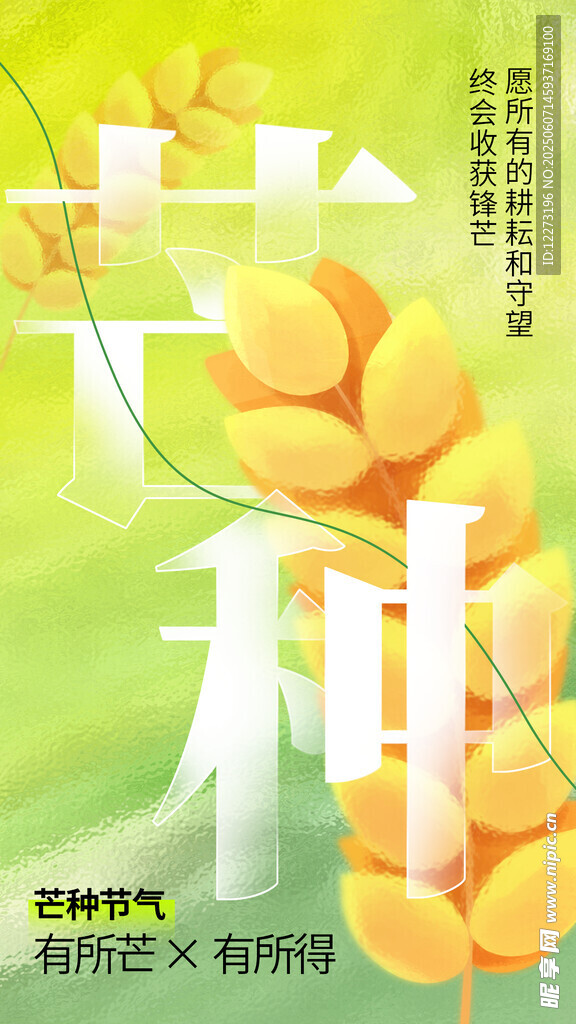 芒种海报