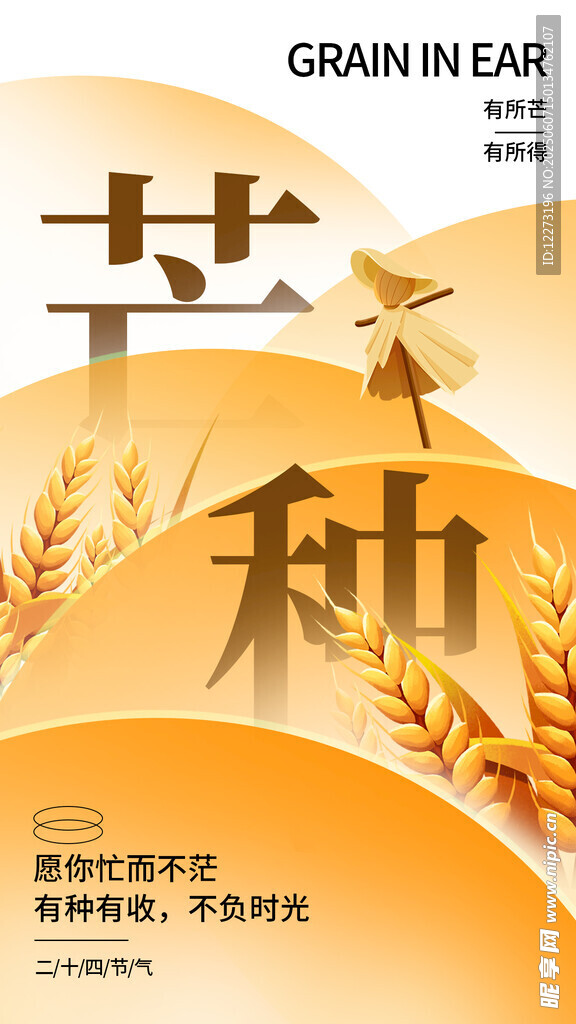芒种时节 谷物丰收景象