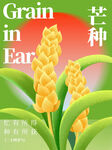 芒种海报
